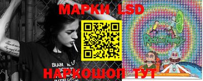 прущие грибы Анапа
