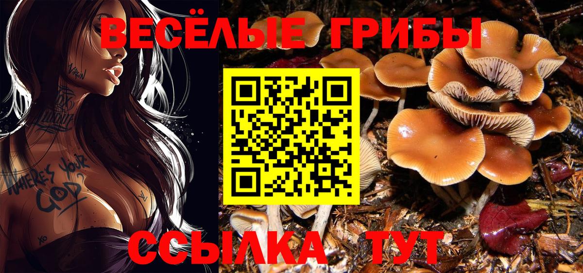 даркнет сайт  Вход с VPN  Выкса  Псилоцибиновые грибы ЛСД  Галлюциногенные грибы прущие грибы 